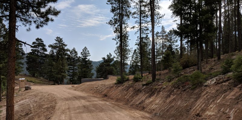 Wedge Home in Conifer