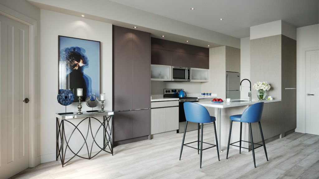 Luxury Apartment Kitchen Architect